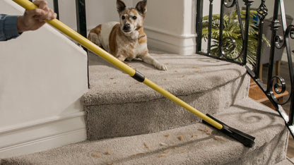 Pet Hair Remover Broom
